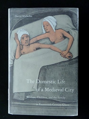 Cover for The domestic life of a medieval city