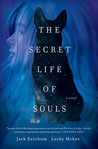Cover for The Secret Life of Souls: A Novel