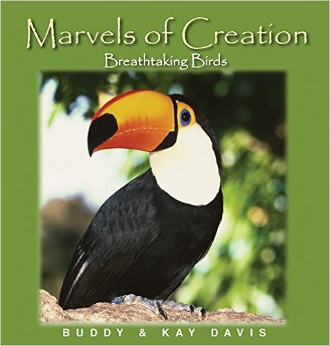Cover for Breathtaking Birds