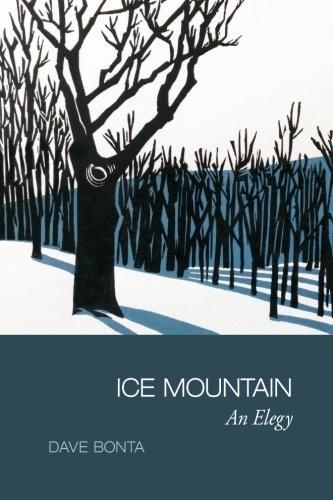 Cover for Ice Mountain