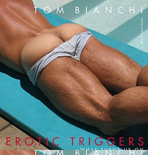 Cover for Erotic Triggers