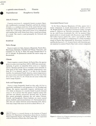 Cover for Cupania americana L., Guara