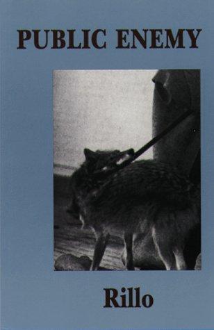 Cover for Public Enemy