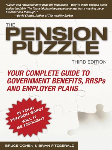 Cover for The Pension Puzzle