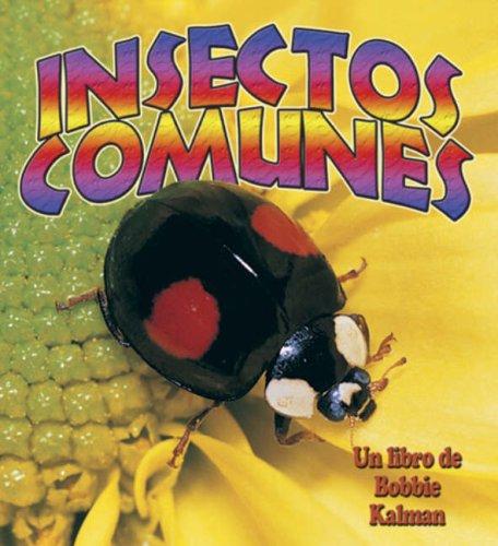 Cover for Insectos Comunes / Everyday Insects (El Mundo De Los Insectos)
