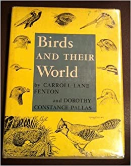 Cover for Birds and their world