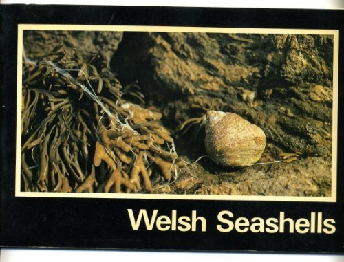 Cover for Welsh Seashells