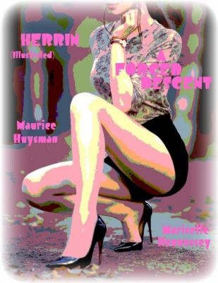 Cover for Herrin (Illustrated) - a Forced Descent