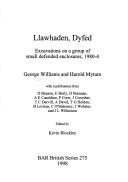 Cover for Llawhaden, Dyfed (British Archaeological Reports (BAR) British S.)