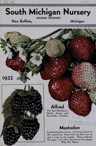 Cover for 1932 Alfred, the best blackberry hardy, sweet, and practically coreless