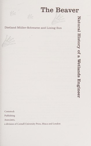 Cover for The beaver