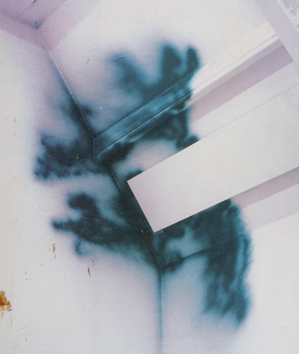 Cover for Katharina Grosse