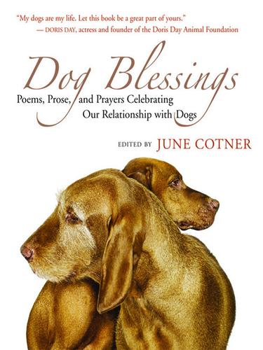 Cover for Dog Blessings