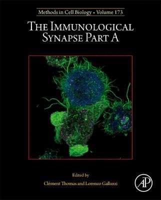 Cover for Immunological Synapse