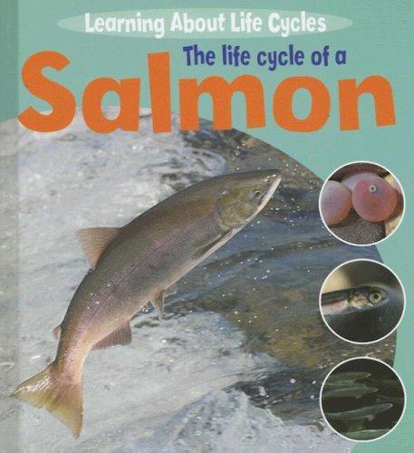 Cover for The Life Cycle of a Salmon (Learning About Life Cycles)