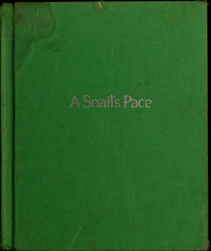 Cover for A snail's pace.