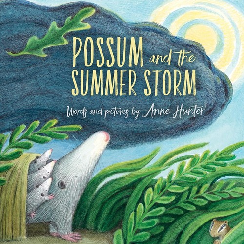 Cover for Possum and the summer storm