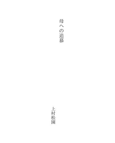 Cover for 母への追慕