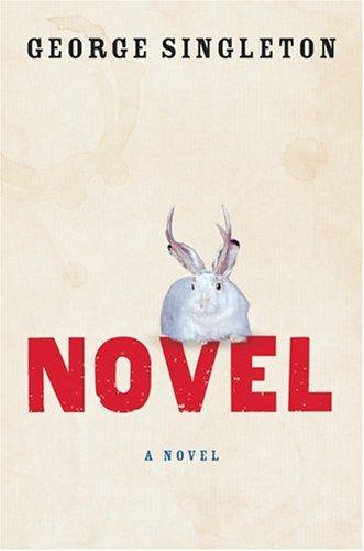 Cover for Novel