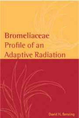 Cover for Bromeliaceae