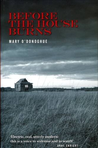 Cover for Before the House Burns