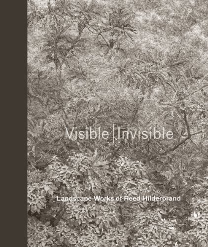 Cover for Visible | Invisible