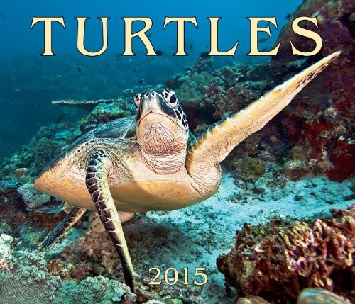 Cover for Turtles 2015