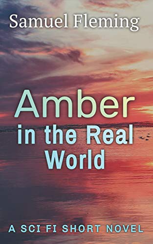 Cover for Amber in the Real World