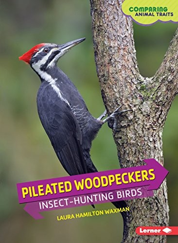 Cover for Pileated Woodpeckers