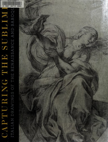 Cover for Capturing the sublime