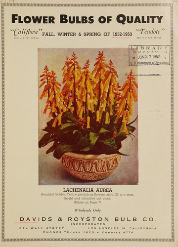 Cover for Flower bulbs of quality