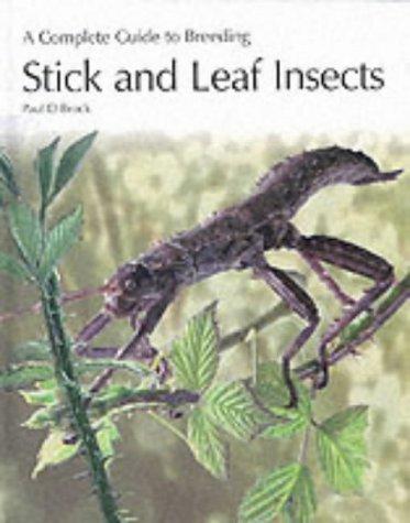 Cover for A Complete Guide to Breeding Stick and Leaf Insects (Complete Guide to Breeding)