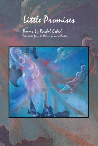 Cover for Little Promises