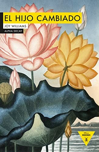 Cover for El hijo cambiado
