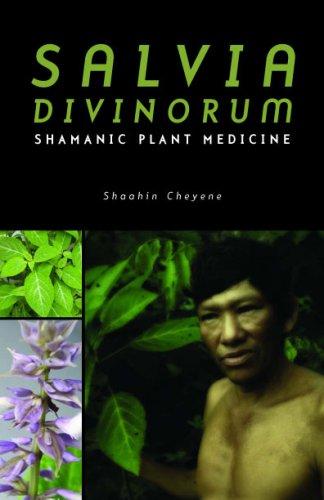 Cover for Salvia Divinorum