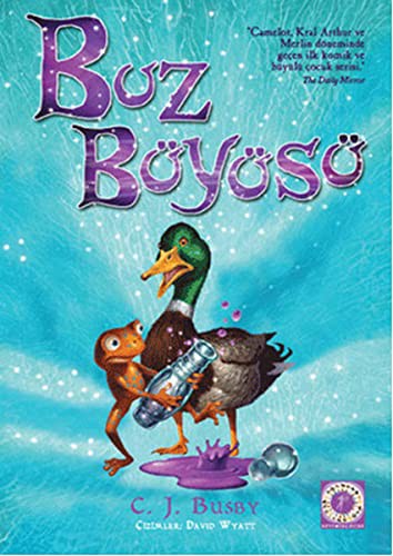 Cover for Buz Buyusu