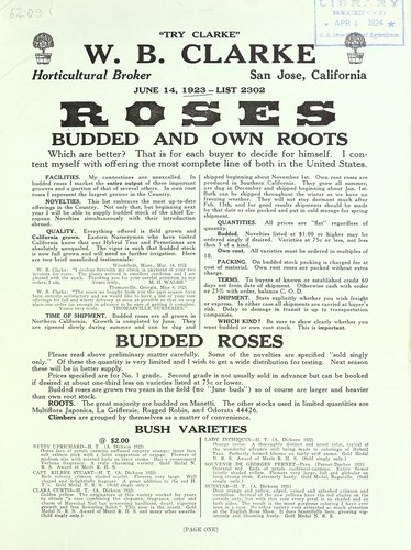 Cover for Roses