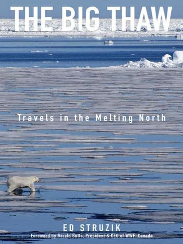 Cover for The Big Thaw