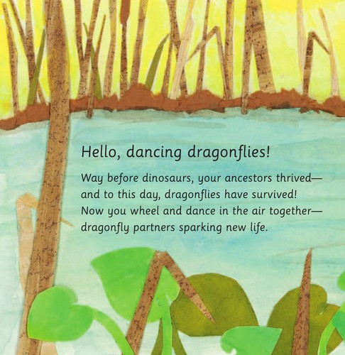 Cover for Dazzling Dragonflies