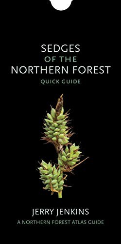 Cover for Sedges of the Northern Forest