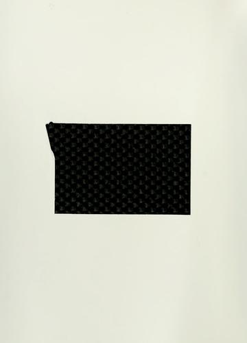 Cover for Lecture notes in lattices, bases and the reduction problem (expository notes).