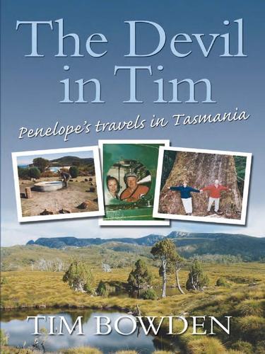 Cover for The Devil in Tim