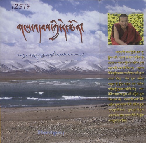 Cover for Gaṅs 'dabs kyi re smon