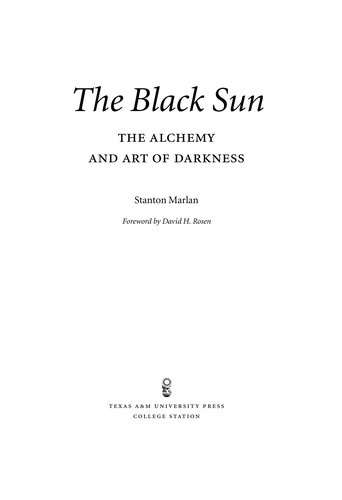 Cover for The black sun
