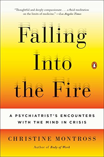 Cover for Falling Into the Fire