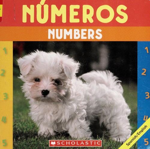 Cover for Numeros =