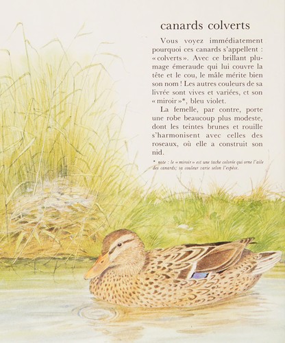 Cover for Mon ami le colvert