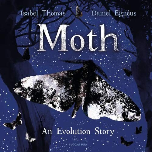 Cover for Moth
