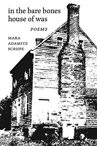 Cover for In the Bare Bones House of Was