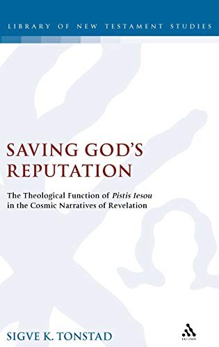 Cover for Saving God's reputation